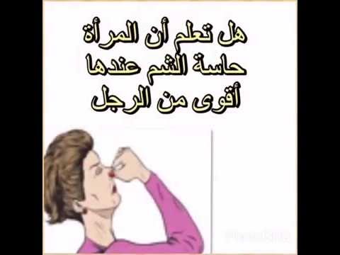 معلومات عن المراة