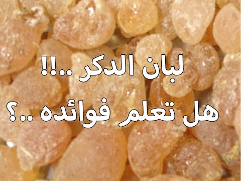 فوائد اللبان الدكر