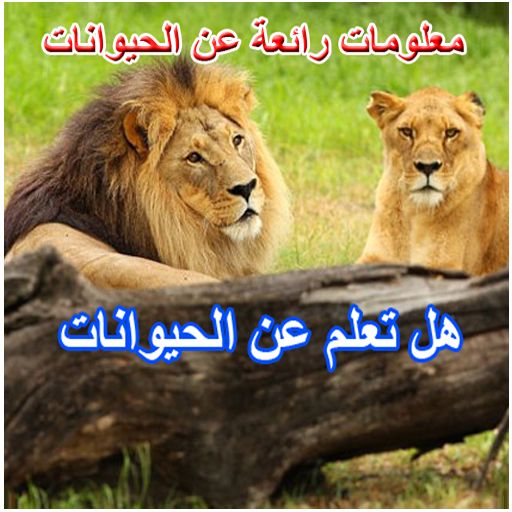 معلومات عن الحيوانات  