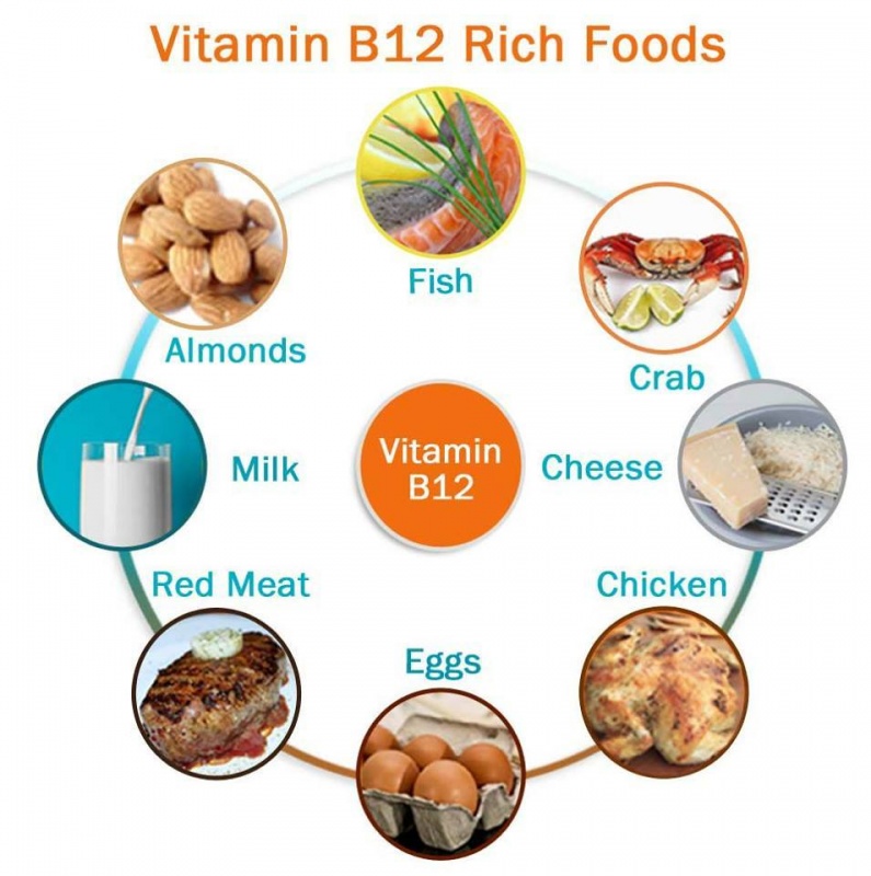 فيتامين b12 واهميته