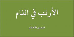 حلم الارنب