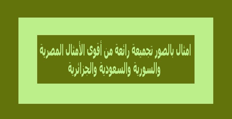 امثال بالصور تجميعة رائعة من أقوى الأمثال المصرية والسورية والجزائرية