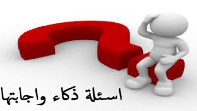 اسئلة ذكاء