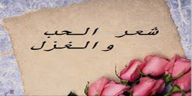 شعر حب جامد