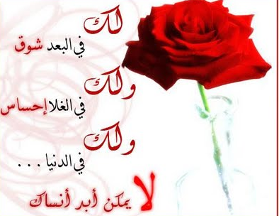 شعر حب رومانسي جامد