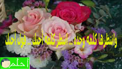 شعر حب وغزل وعشق