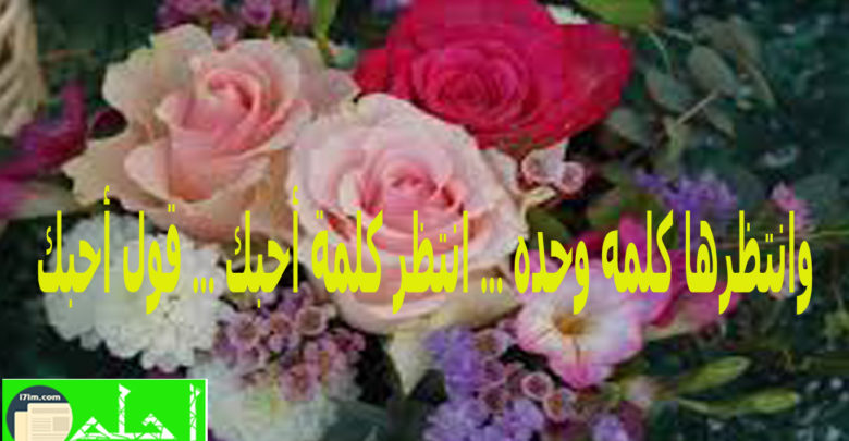 شعر حب وغزل وعشق