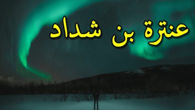 شعر حب عنترة بن شداد