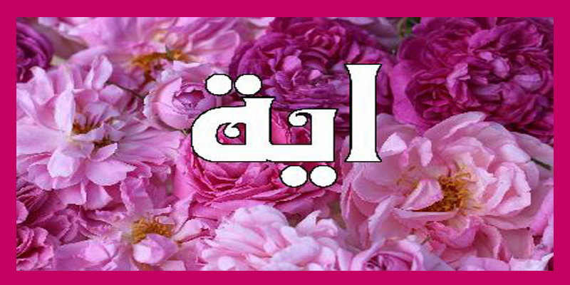 شعر حب لاية