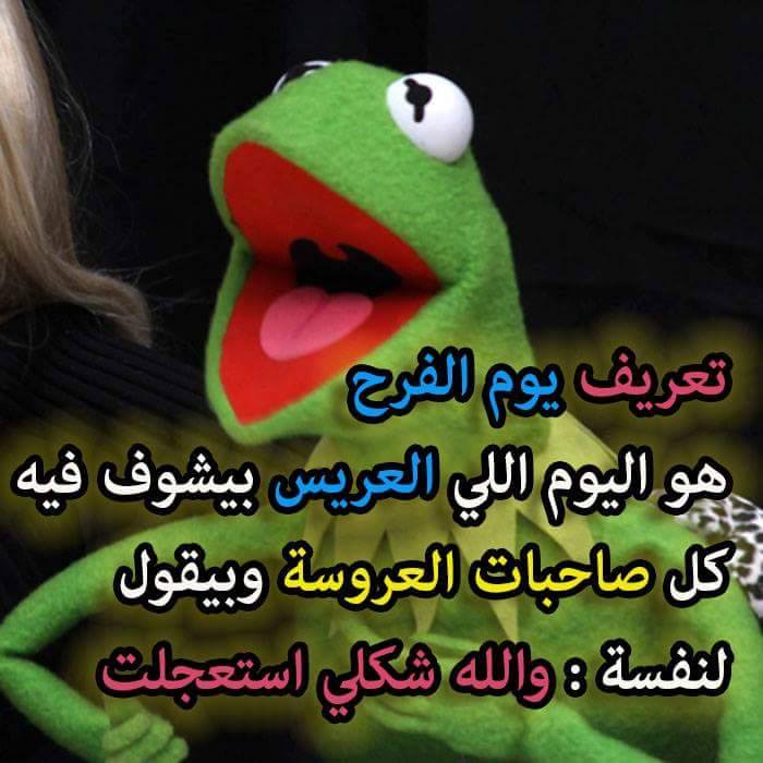 صور فيها نكت