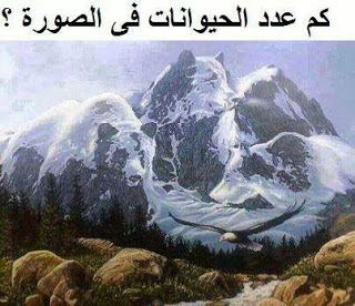 الغاز بالصور