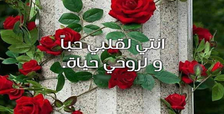 حالات واتس اب حب