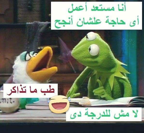 نكت وصور مضحكة