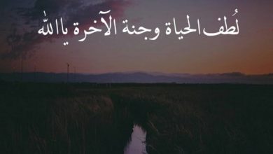 حالات عن الحياة