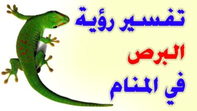 تفسير حلم البرص في المنام