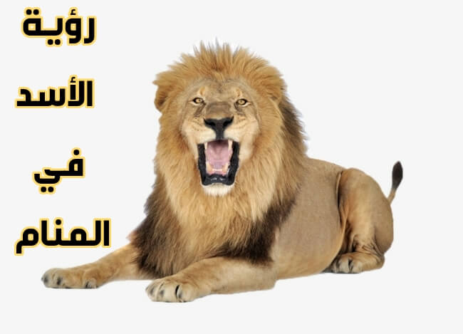  حلم الأسد