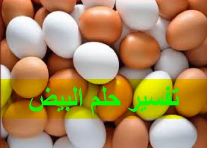 تفسير حلم البيض