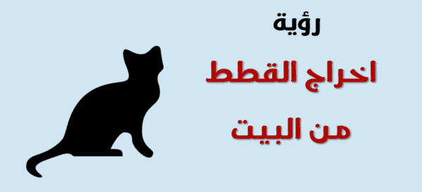 تفسير رؤية القطط في المنام ومحاولة إخراجها من البيت