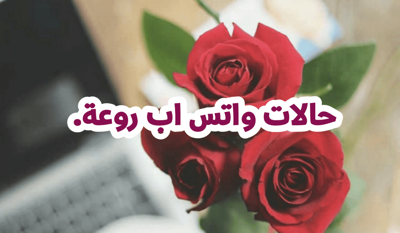 حالات واتس اب حب وعشق 