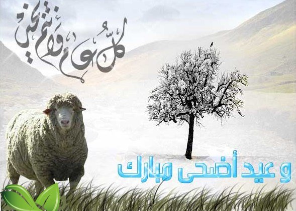 معايدة عيد الأضحى