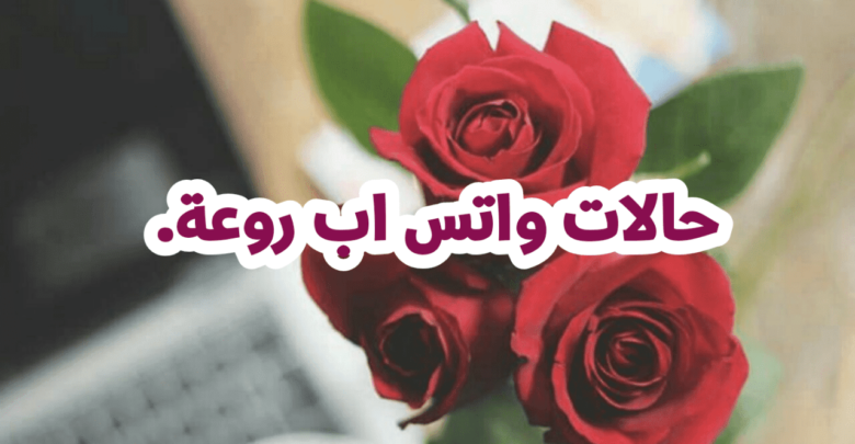 حالات واتس اب روعة