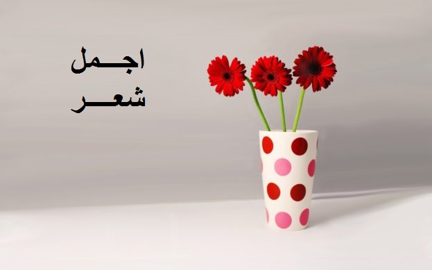 أجمل شعر