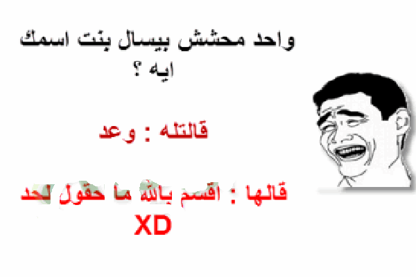 المحشش لما يعاكس