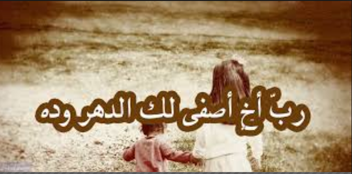 رب أخ أصفى لك الدهر وده