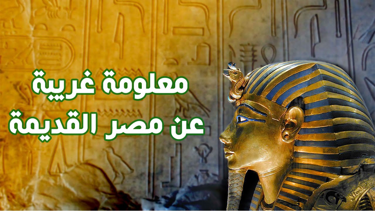 معلومات غريبة عن مصر القديمة