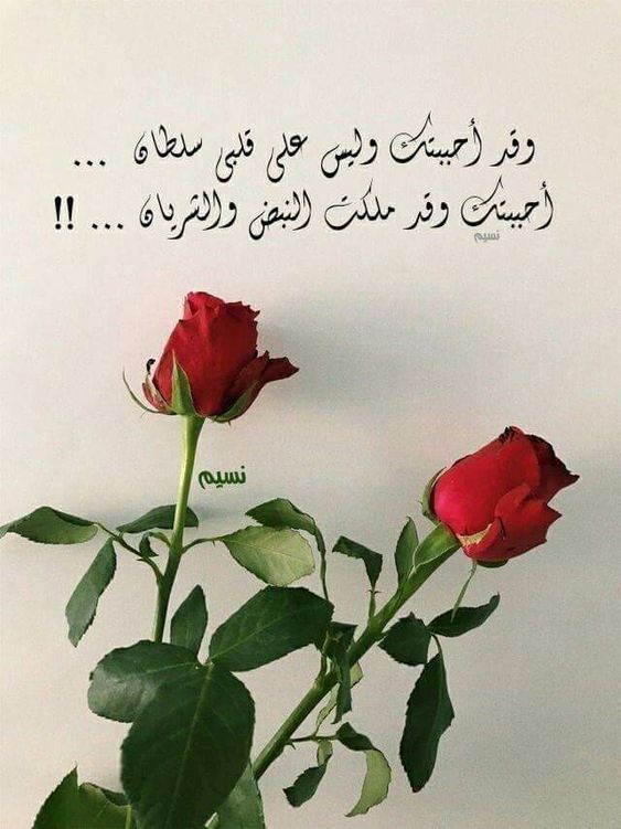 كلمات رومانسية رائعة