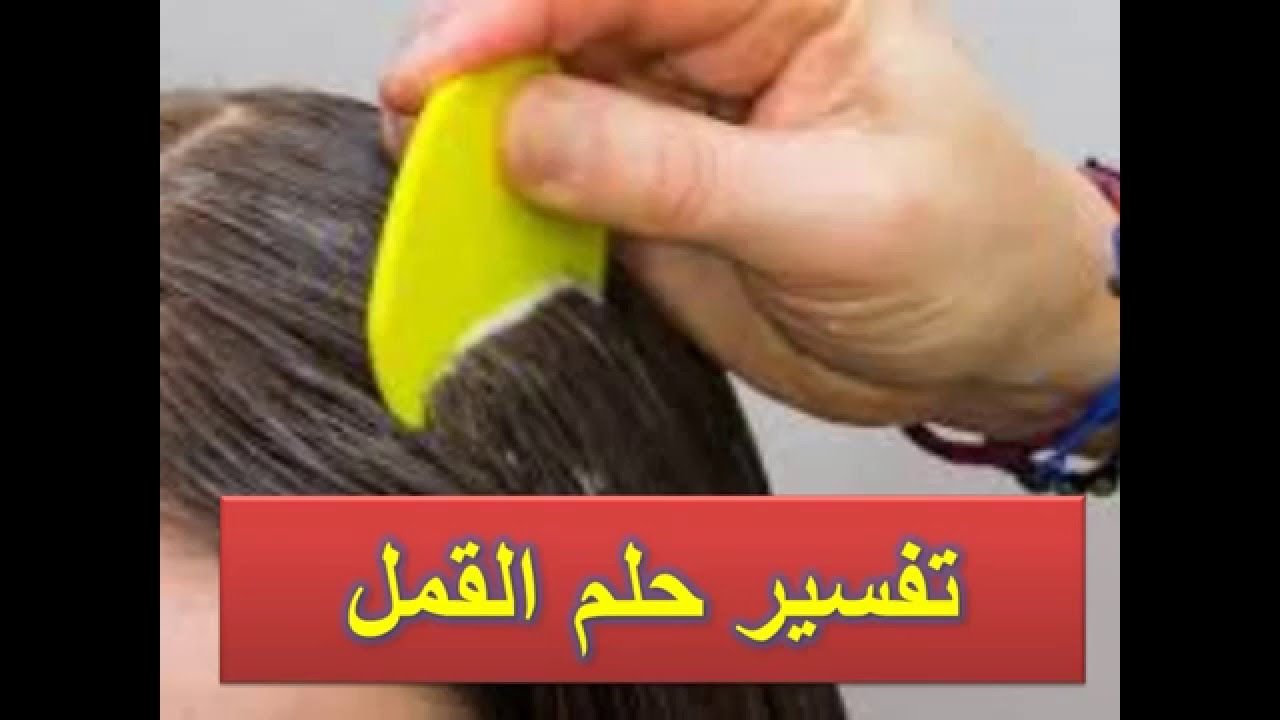 رؤية قمل الجسم في المنام