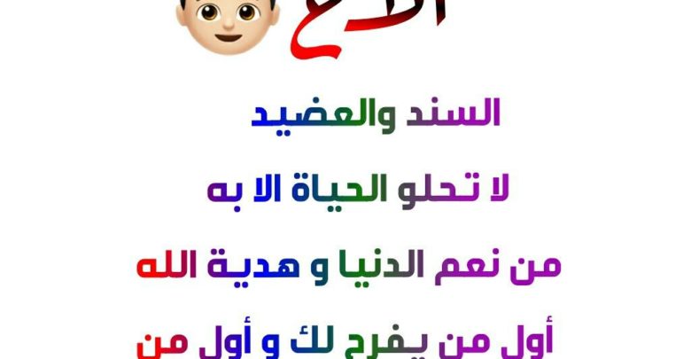 الأخ السند والعضيد