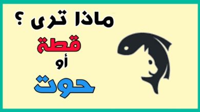 الغاز و فوازير محيرة و صعبة