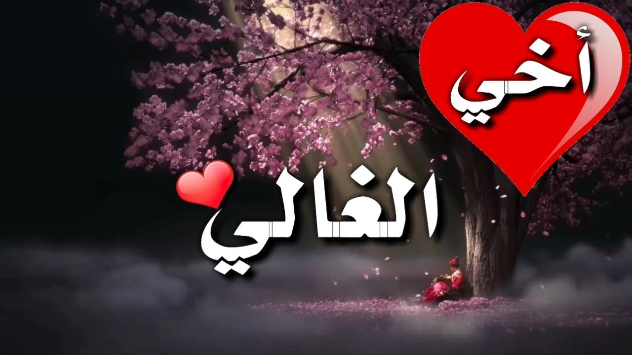 أخي الغالي <3