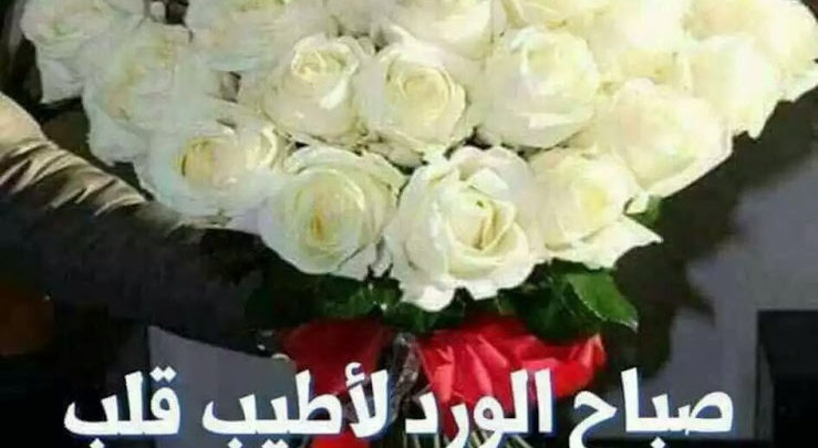 صباح الورد لأطيب قلب