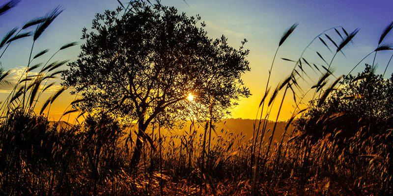 خواطر مؤثرة عن الحياة