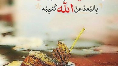 حالات للواتس عن الحياة