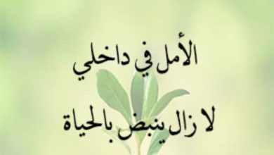 خواطر عن الحياة والأمل