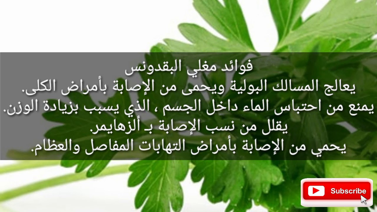 فوائد مغلي البقدونس