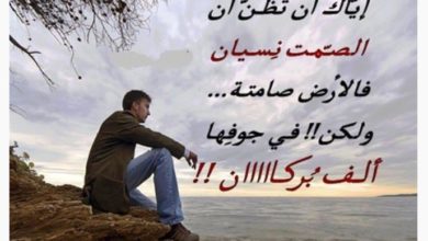 عبارة رائعة عن الصمت