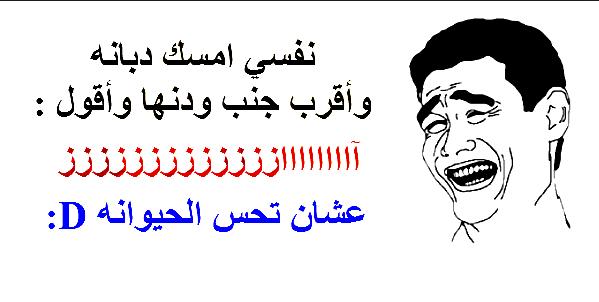 نكت تموت من الضحك