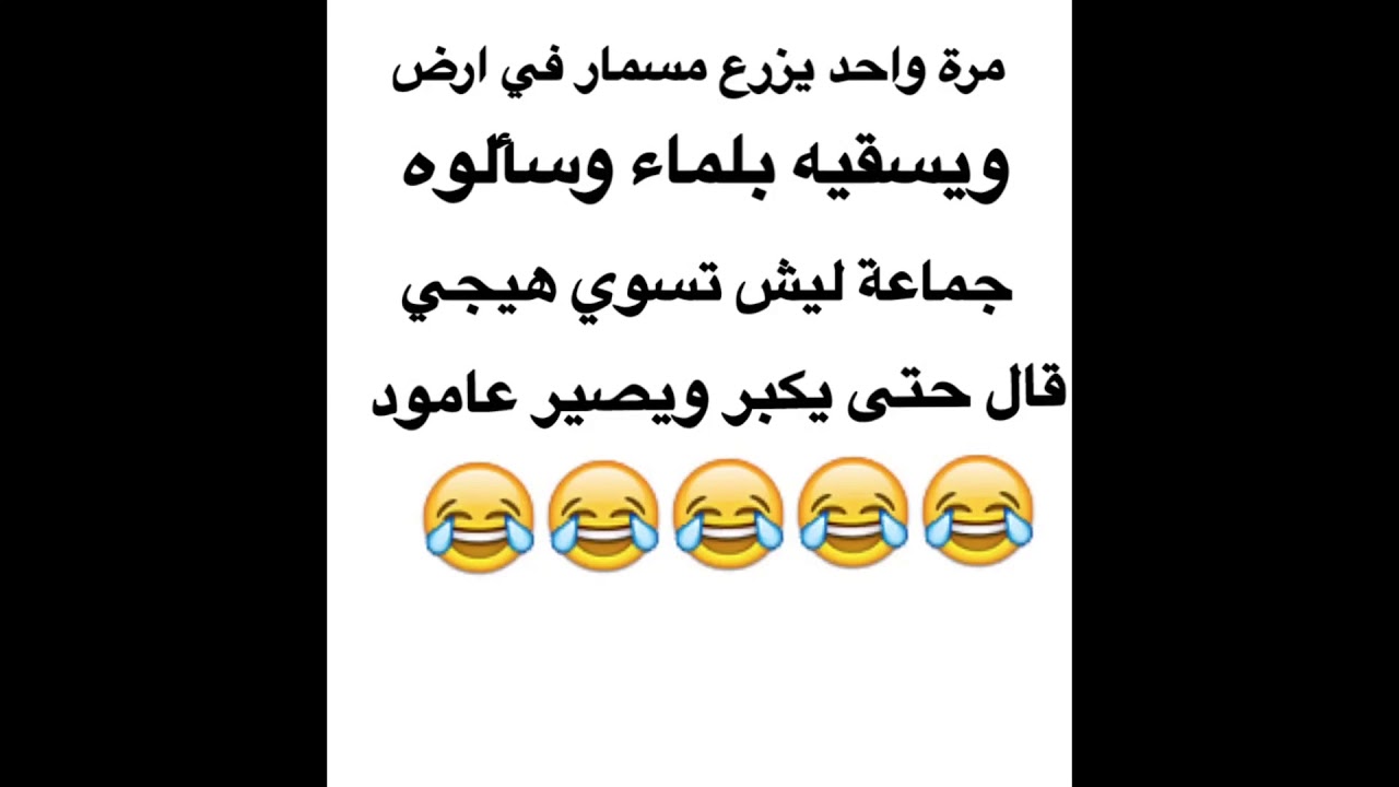 نكت تموت من الضحك