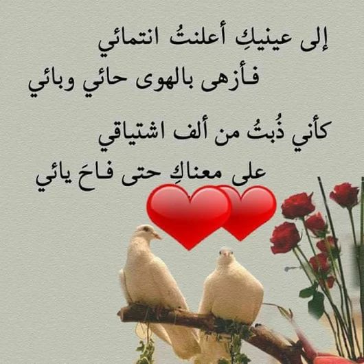 شعر