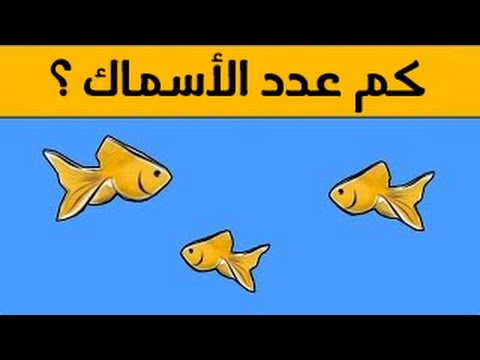 كم عدد السمك