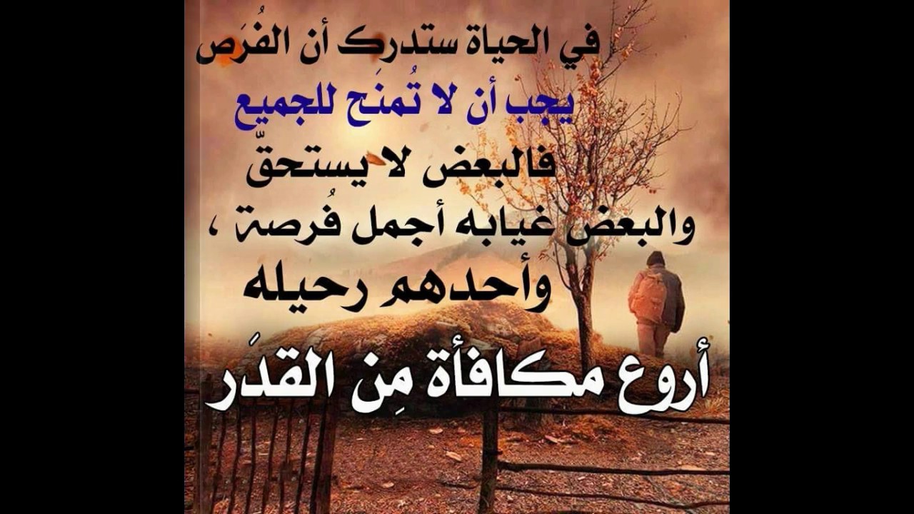 الحياة وحكمها