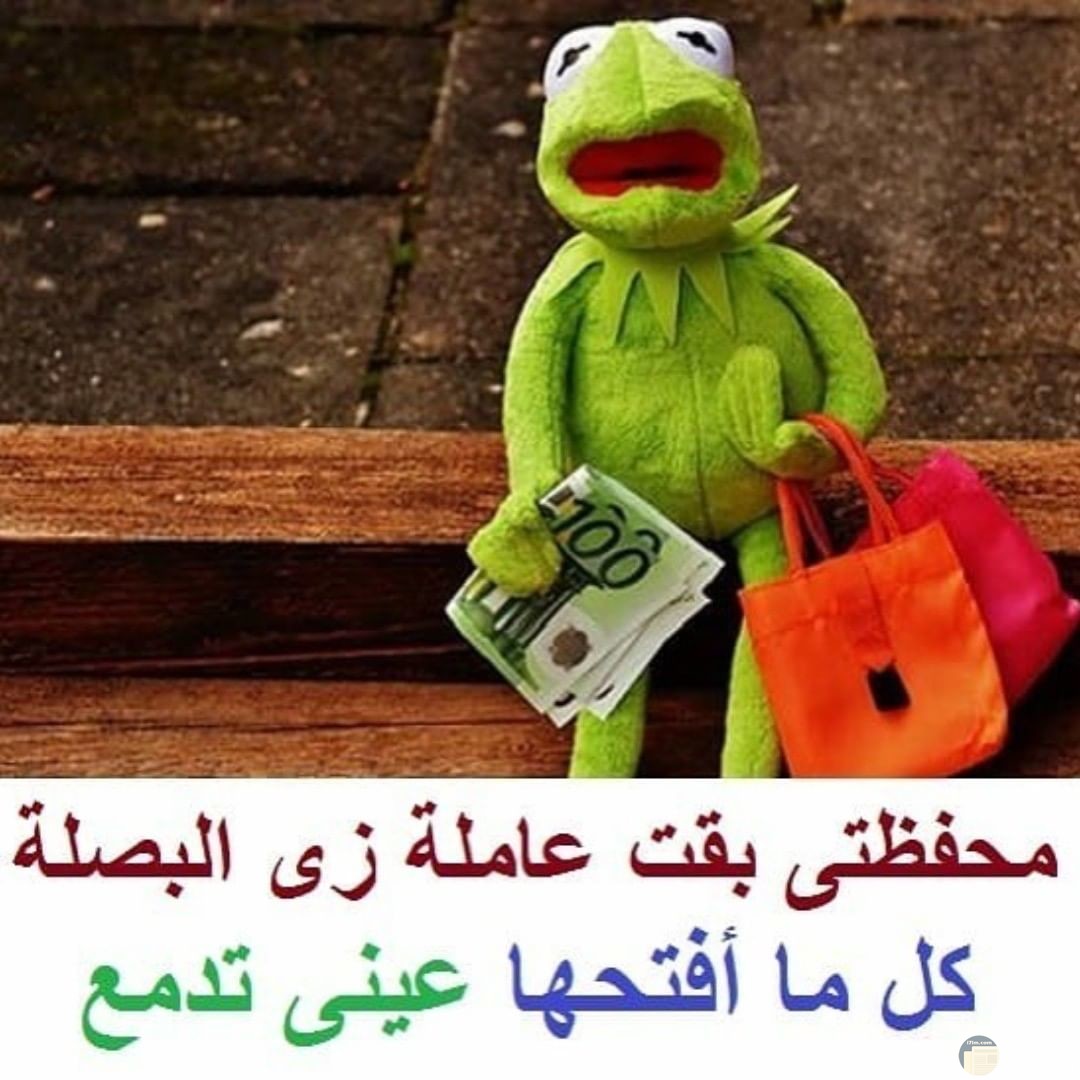 نكت حلوة للضفدع الأخضر.