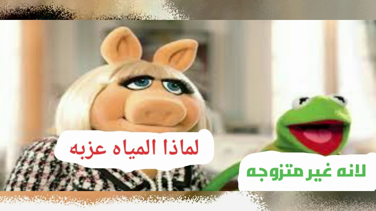 نكت الضفدع الأخضر مضحكة.