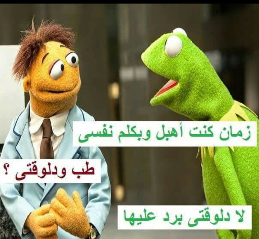 بوستات مضحكة للضفدع الأخضر.