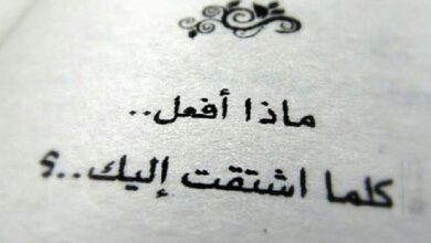 رساله حبيب مشتاق