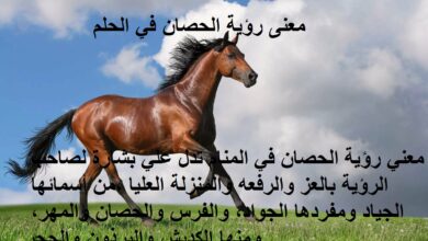 رؤية الخيل في المنام